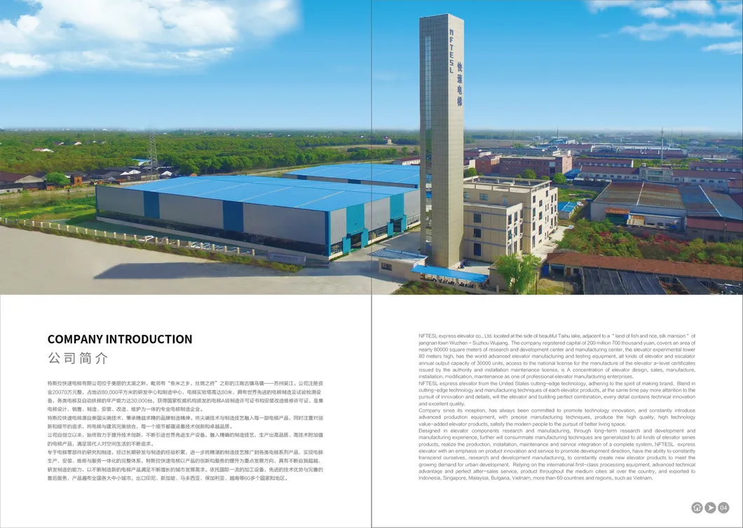 Commercial Passenger Elevator Home Lift Elevator for Shopping Mall and Office Building NF-J025