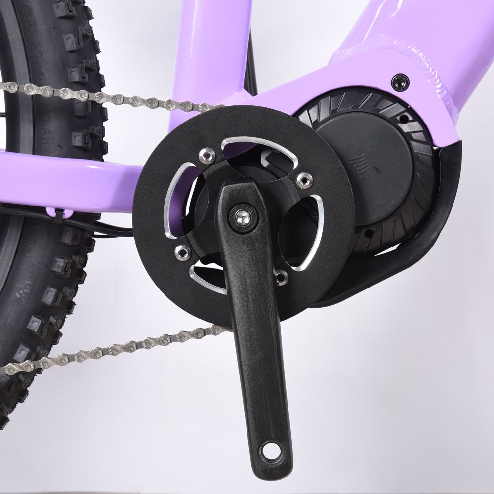 29 Inch Latest Design Aluminum Alloy Hybrid Elecric Mountain Bike with 9 Speed E Bike