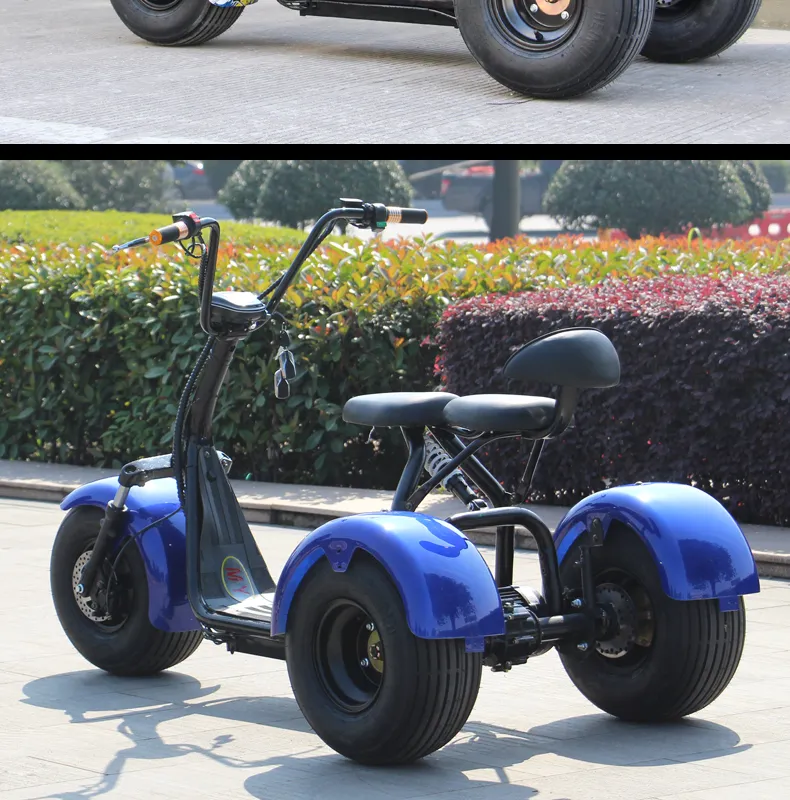 Electric 3 Wide Wheel Fat Tire Citycoco Scooter with Alloy Wheel Promotional for Adult with Seat