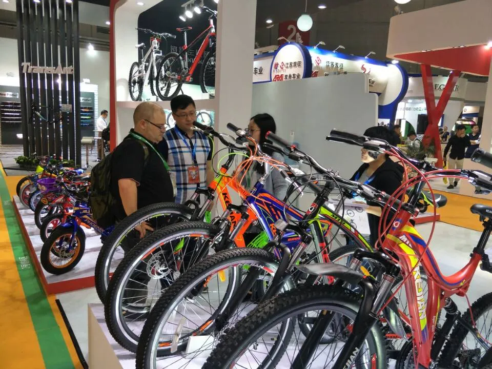 Strong and Special MTB Bicycle (LYQ4031)