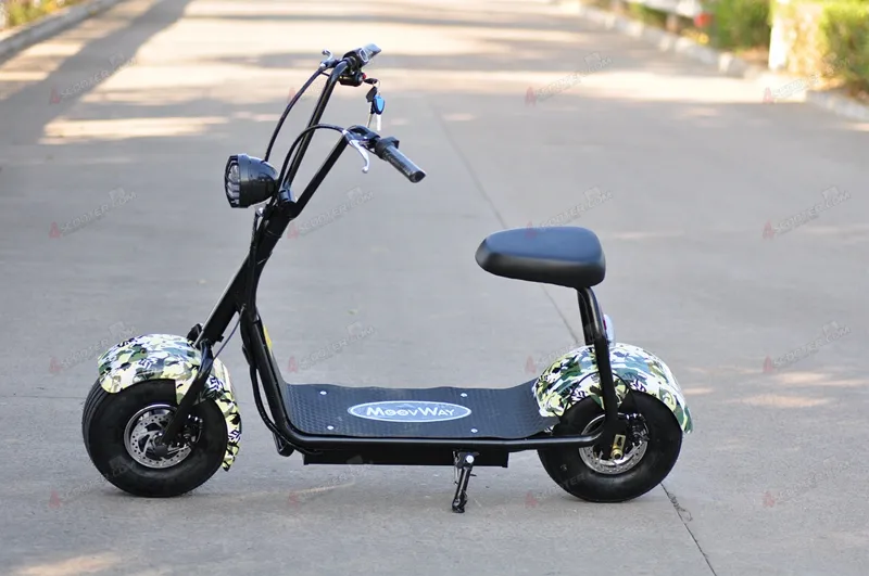 Citycoco 800W Brushless 2 Wheel Electric Scooter Motor for Sale