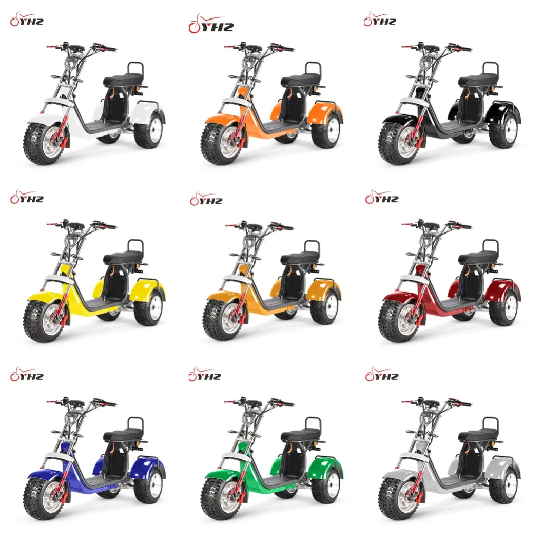 4000W 3 Wheel Swing Tricycle off-Road Citycoco Scooter