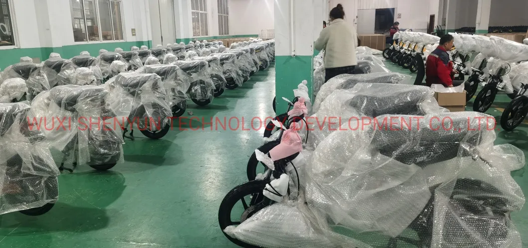 Syev 2022 Most Popular in Local Market Electric Scooter E-Bike 1200W 60V20ah High Performance E-Motorcycle