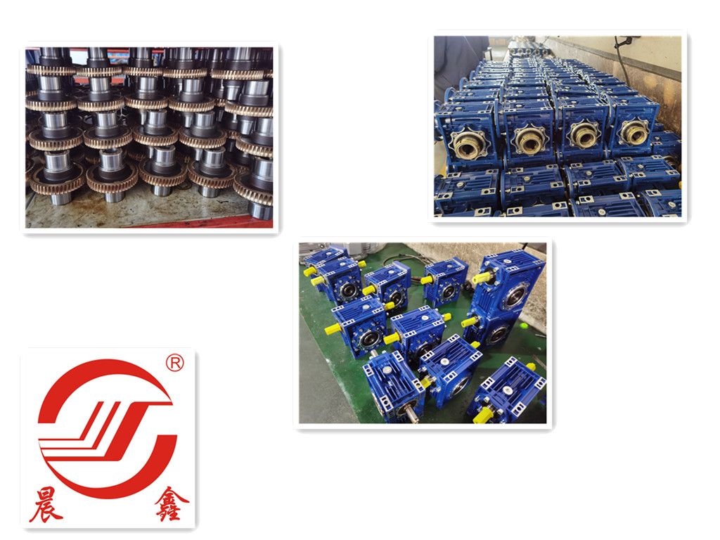 Motovario Nmrv Worm Gear Speed Reducer for Reduction Transmission
