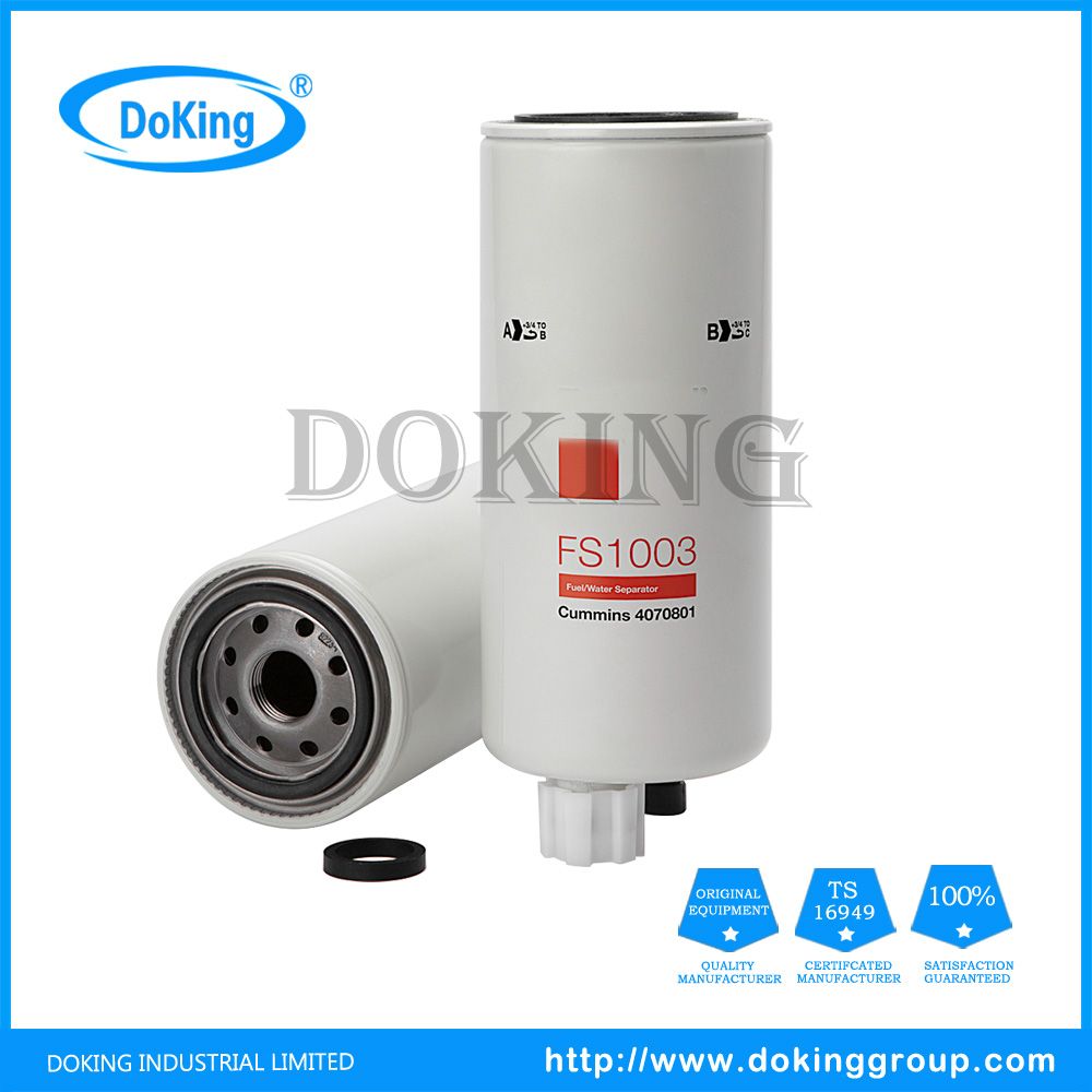 Wholesale Price Auto Parts Fuel Filter Fs1003 for Excavators/Diggers