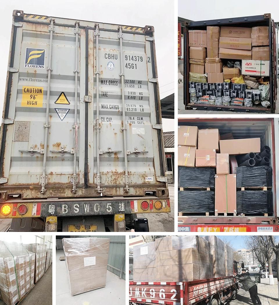 Common Rail Fuel Injector D5010222559/0445120309 Dongfeng Dci11 Diesel Engine Parts