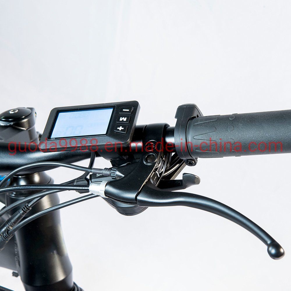 OEM New Design 26-Inch E-Bike 24 Speed Mountain Electric Bicycle