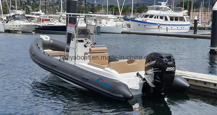 Liya 6.6m Large Fiberglass Bottom Inflatable Boats for Sale