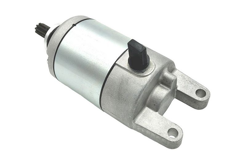 12V Motorcycle Starter Motor for YAMAHA Czd250 Czd300 X-Max 250