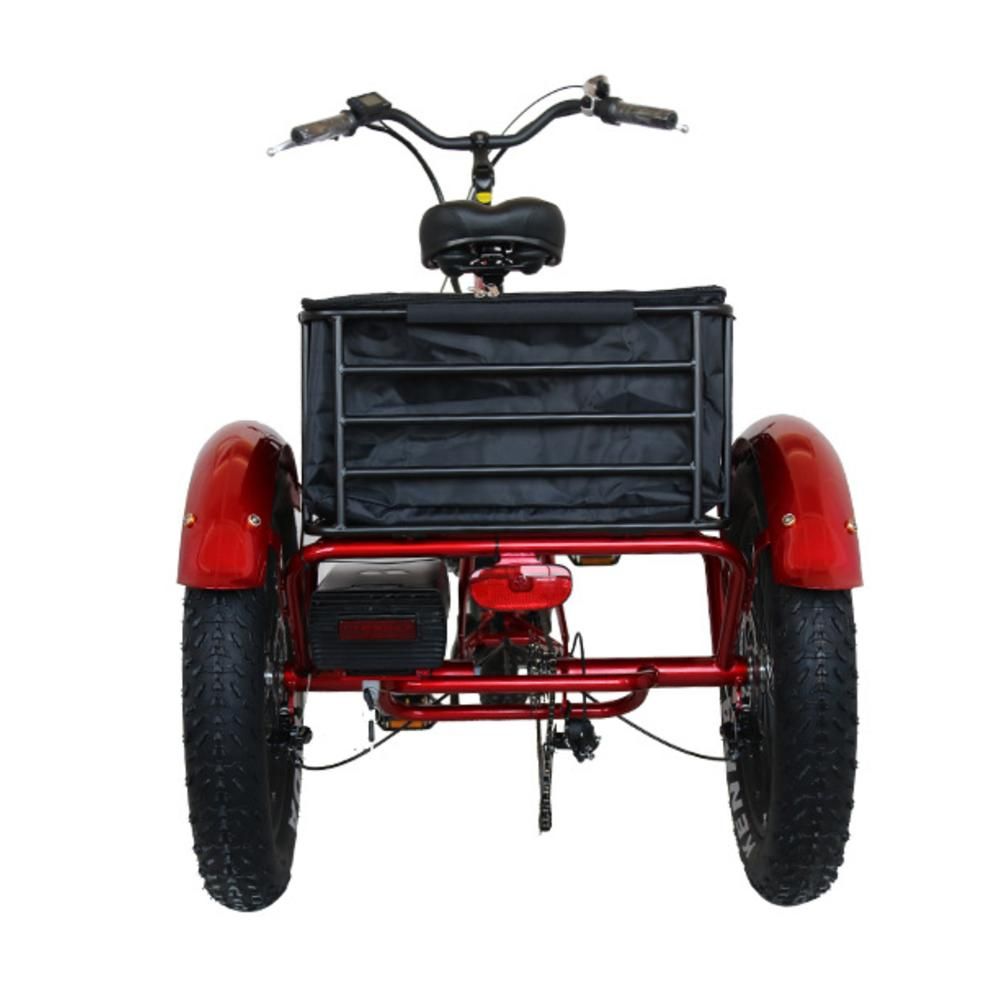 26inch Simple Shopping Camping Electric Tricycle with Big Rear Boot
