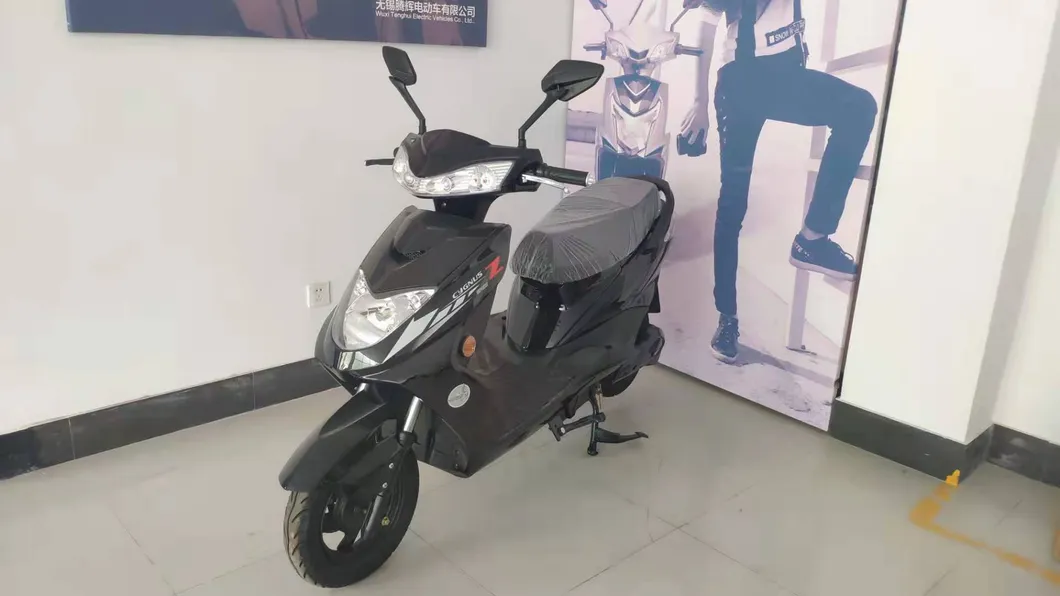 Made in China Citycoco Electric Scooters 1000W Motor Power Scooter