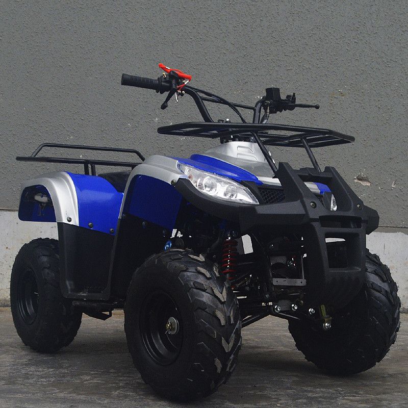 Mini Quad Bike 110cc 125cc ATV for Adults