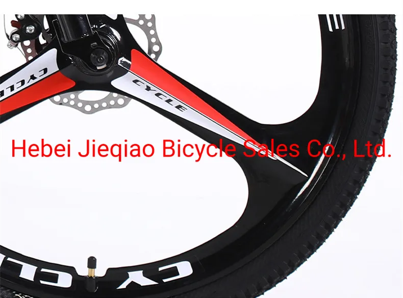 Aluminum Alloy Adult Light Variable Speed 3D Mountain Bike