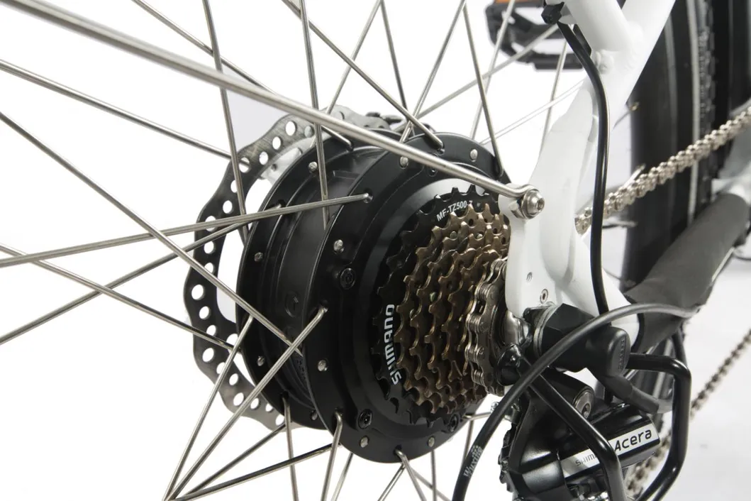 48V 500W Powerful City E Bike