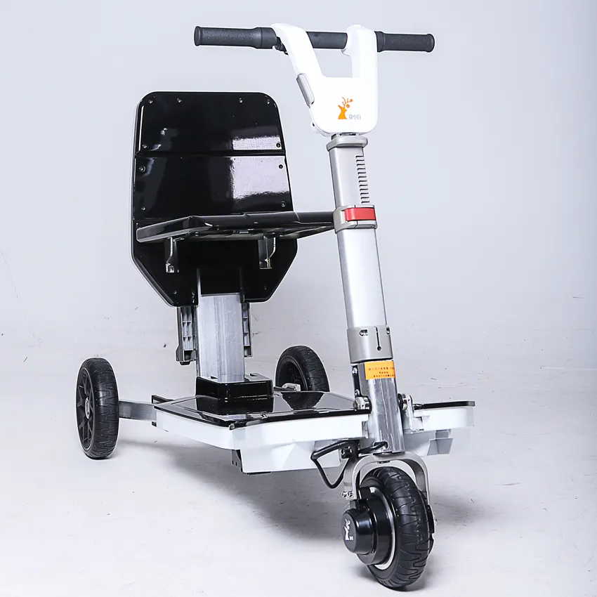 Luggage Scooter Electric Scooter Automatic Sr Three Wheel
