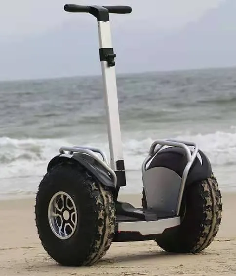 19inch Self Balance Scooter Two-Wheel Balance Electric Vehicle 20inch