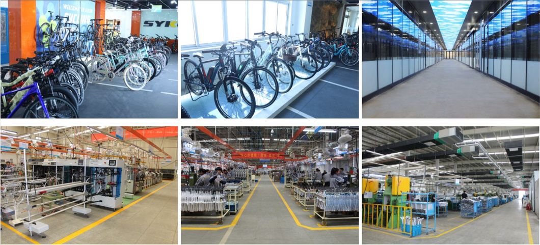 Economical Comfortable Commuting Electric City Bike Leisure Bike with Aluminum Frame Lithium Battery Electric Bike