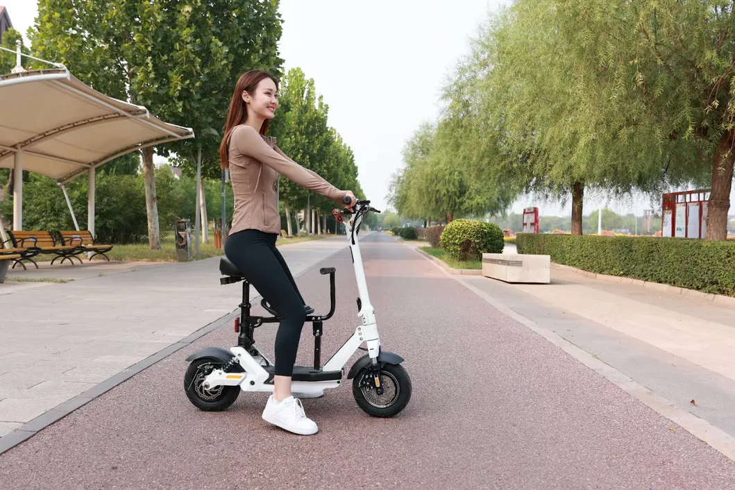 High Quality Electric Scooter Aluminum Alloy 12ah Lithium Battery