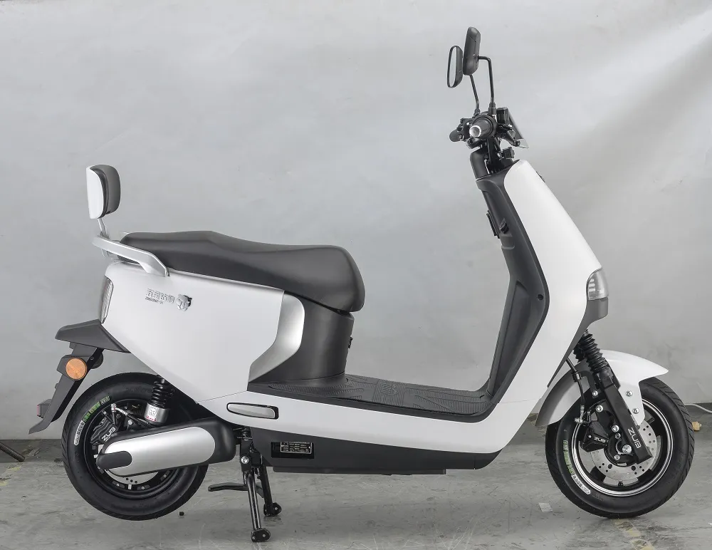 2021 New Arrival Electrical Scooter for Men and Women