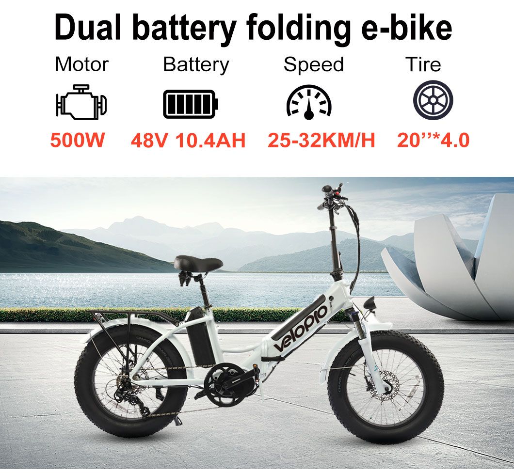 2023 New Double Battery Long Range 750W Electric Bike