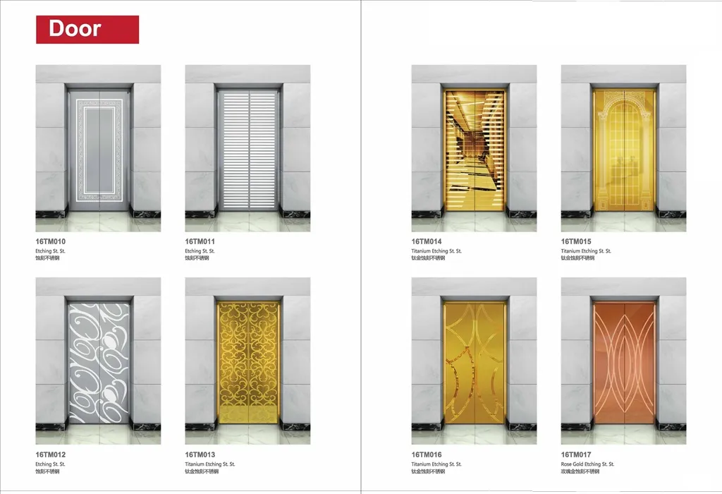 China Manufacture Cheap Price Painted Steel Villa Home Lift Passenger Elevator