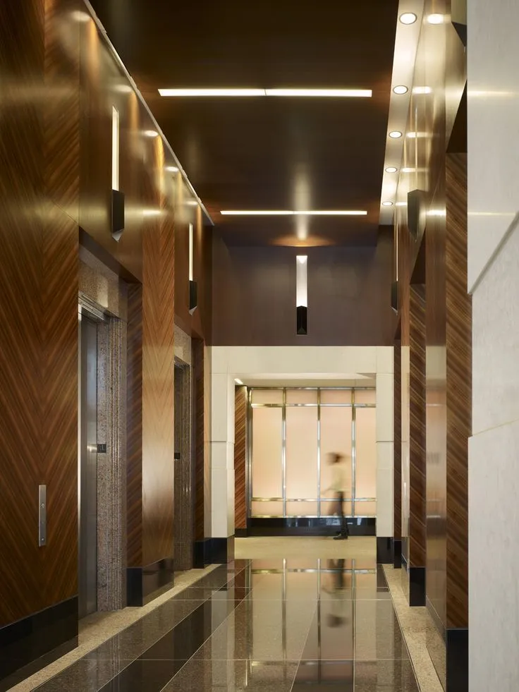 Small Machine Room Passenger Elevator with Painted Steel