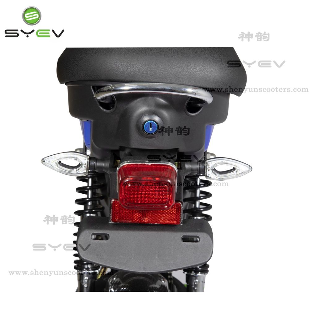 EU Standard CE Certificate Syev Factory Wholesale Sy-Lxqs Basic Cheap Price Worldwide Stylish 2 Two Wheel Motorbike Electric Bike with 25~32km/H Safe Speed