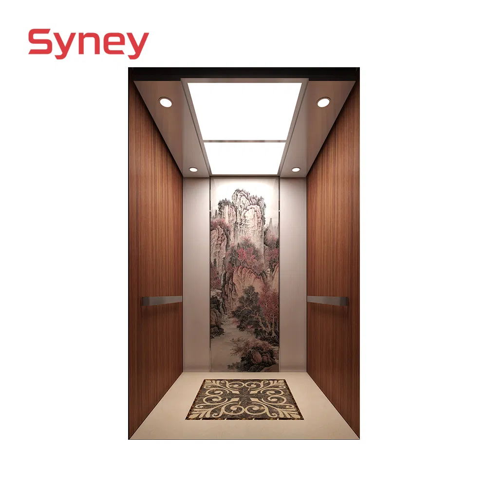 China Manufacturer Ascensores Residential Home Passenger Elevators Lift for Sale