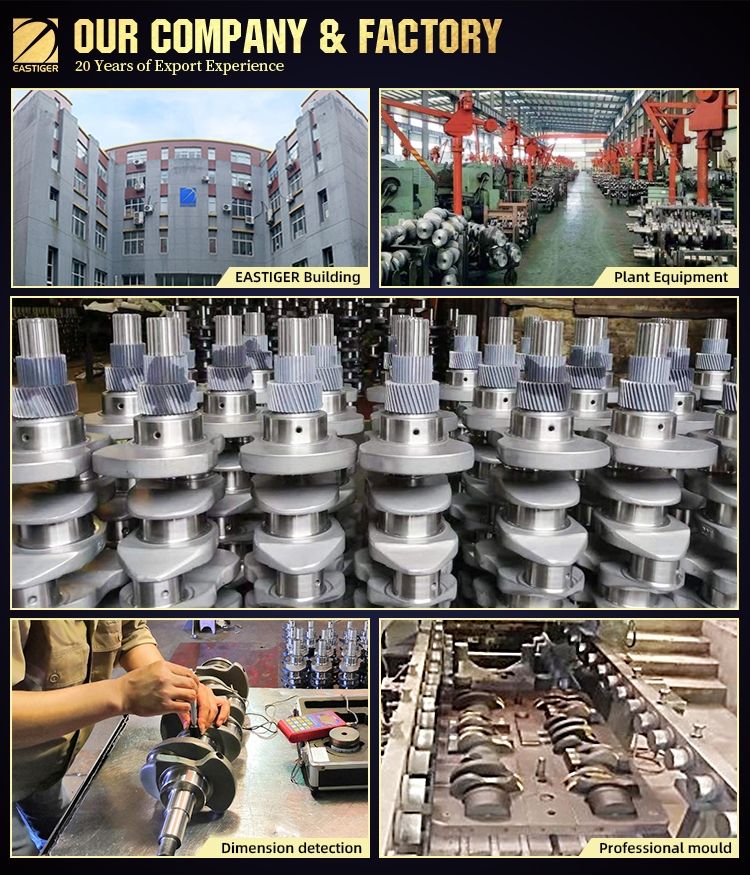 4ba1 Engine Crankshaft for Isuzu Auto Parts / Factory Price / Have Stock