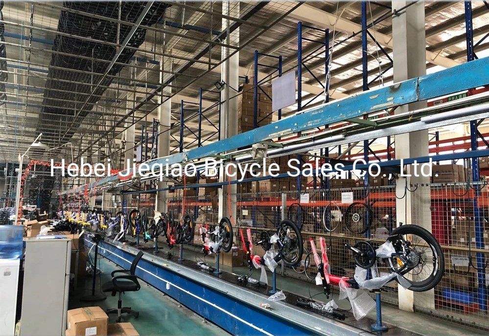 China Produces 24 Inch Variable Speed Mountain Bike
