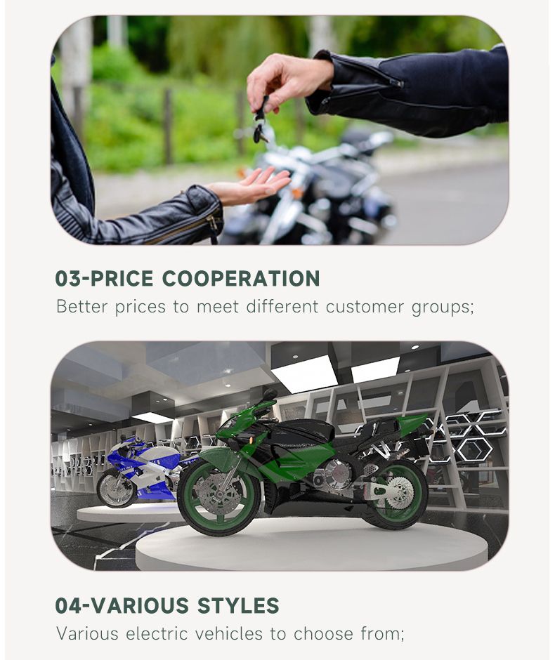 Popular Design Citycoco 3000W Electric Motorcycle Moped