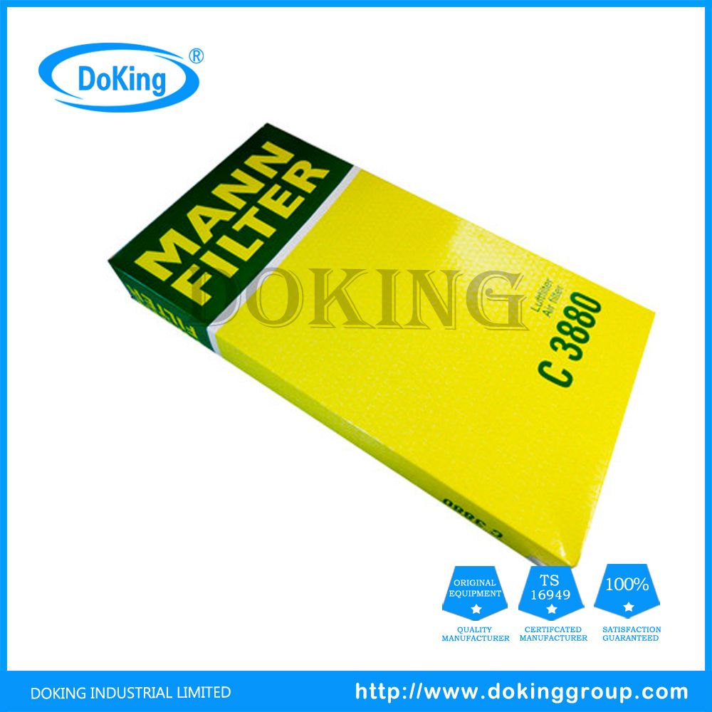 Germany Original Mann Air Filter C3880 with Certificates Verified Supplier for VW OEM 036129620h 036129620j
