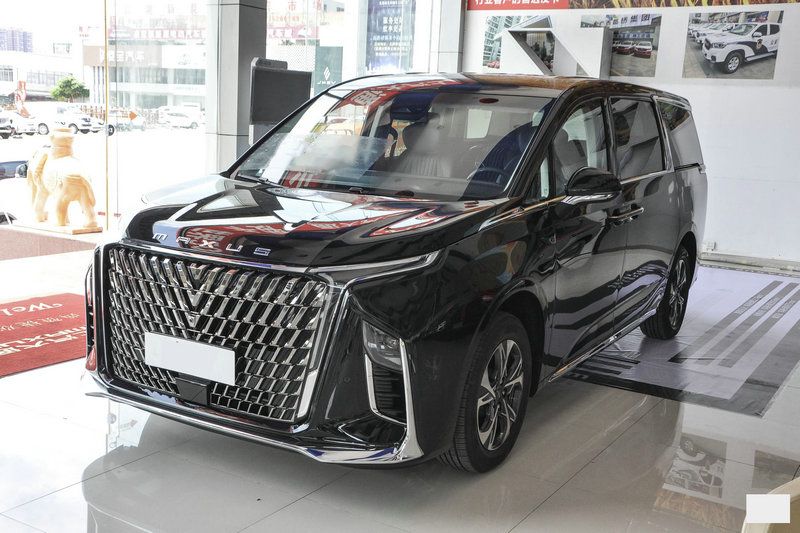 Yg043 China Saic Chase G90 2022 2.0t Star Seven-Seat Gasoline Car, New Gasoline Car, Small Electric Car and Used Car