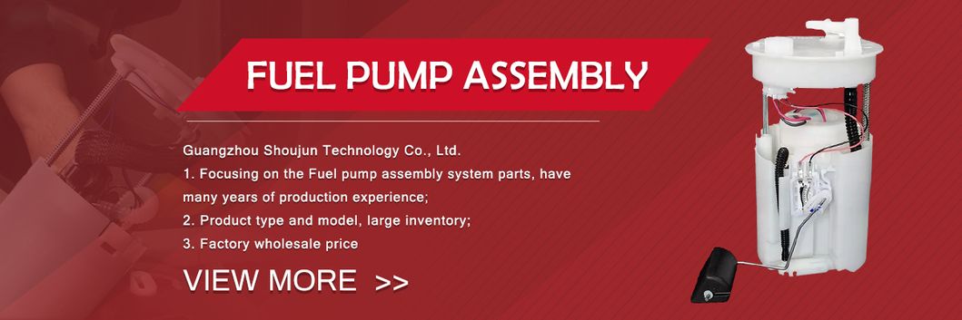 Fuel Pump Assembly for KIA Sportage Hyundai Santa Fe 31110-2W700