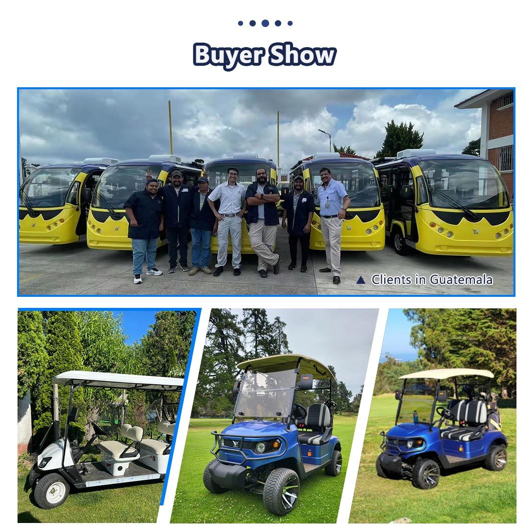 China-Made Multi-Colored ODM CE Certificate Electric Golf Cart