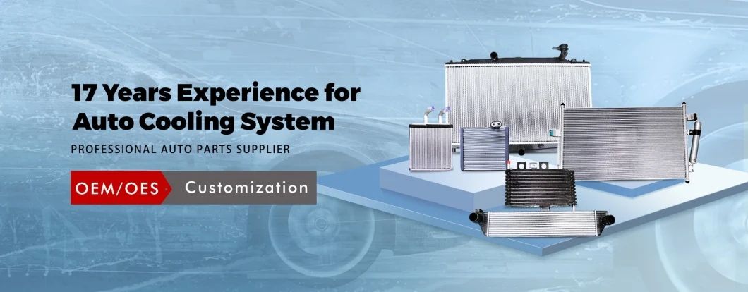 Automotive Air Conditioning Refrigeration Condenser for Byd S6/Extended Aluminum Parts