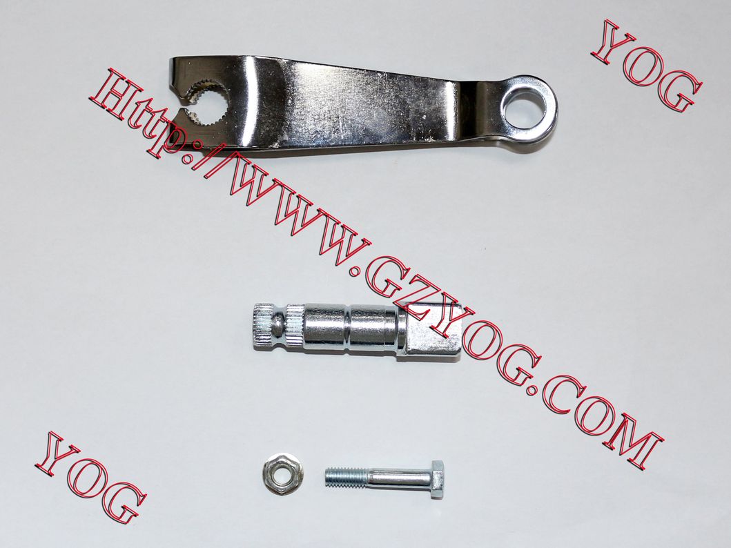 Yog Motorcycle Parts Cam &amp; Arm, Rear Brake for Bajaj Boxer/Tvs Star/Cg125