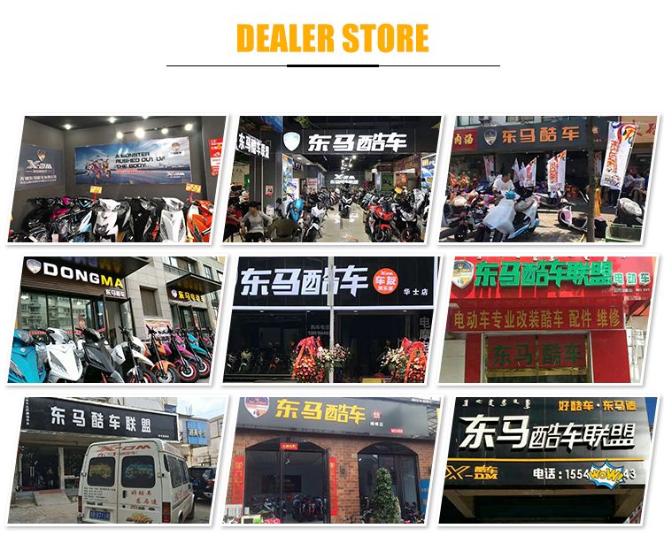 2023 Lithium/Lead Acid Battery Electric Motorcycle M6 Electric Bike EEC