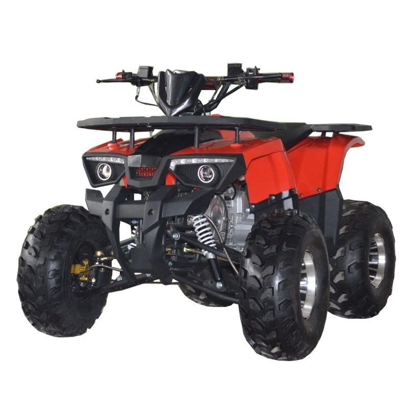 125cc Racing ATV Quad Bike with CE Atvs for Kids