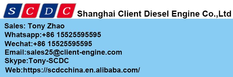 Best Seller 6 Cylinder 4 Stroke Diesel Engine 6CTA8.3-C215 Used for Construction Machine