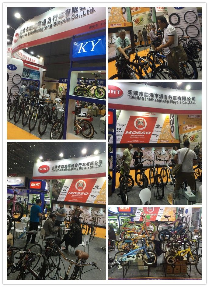 Steel Mountain Bicycle with Suspension Fork MTB-031
