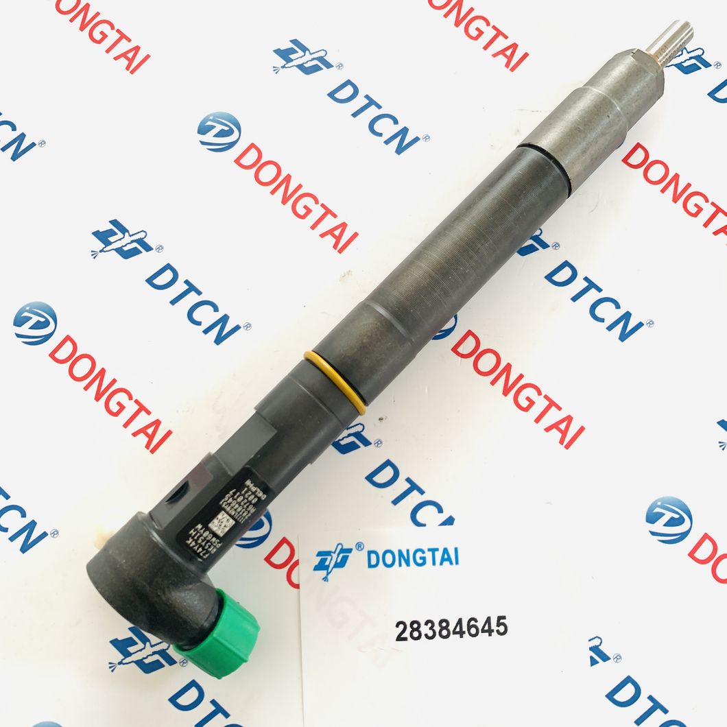 Diesel Fuel Delph Genuine Common Rail Injector 28384645 for Ssangyong D22 Euro 6 A6720170021 6720170021