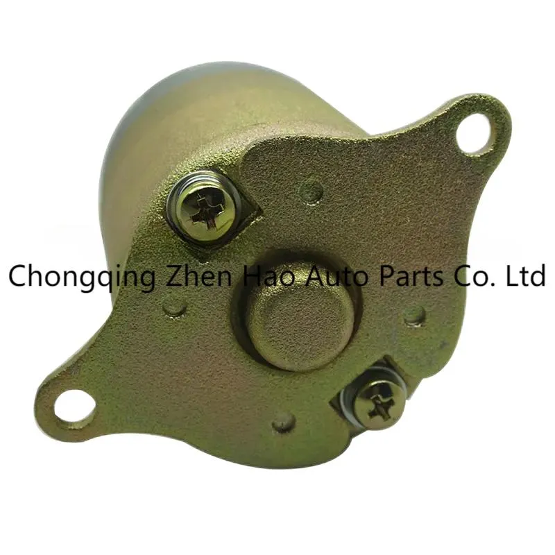 125cc Scooter Starter Motor 157qmj for Kymco Agility MMC 125