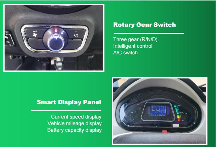 Raysince Newly Designed Electric Car 4 Seater Right Hand Drive Adult Vehicle with CE Certificate