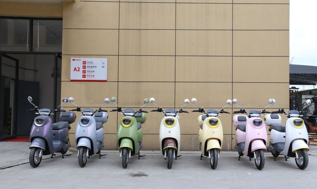 Eco-Friendly Fashion Urban Commute Shopping Electric Scooter