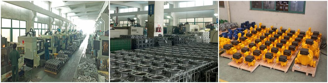 Zcheng Tokheim Fuel Pump for Filling Station Using