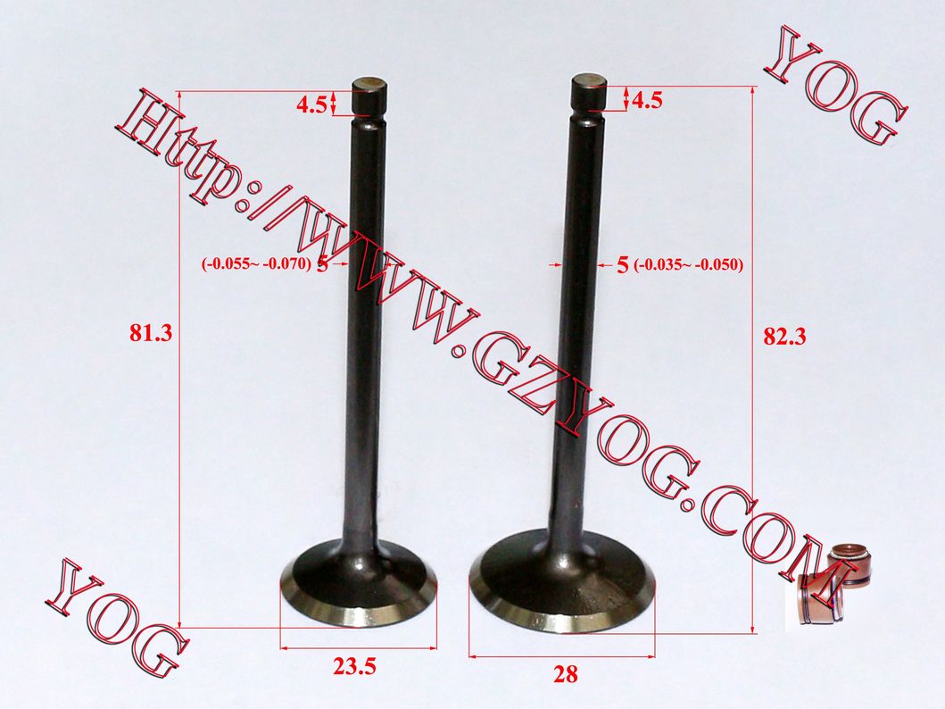 Motorcycle Engine Alloy Valve for YAMAHA Ybr 125