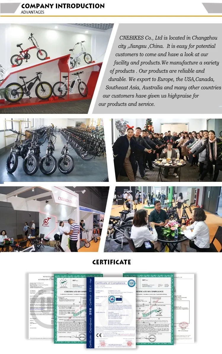 Newest Professional Manufacturer 12inch 500W 36V Attachable Electric Handcycle with 11.6ah Battery