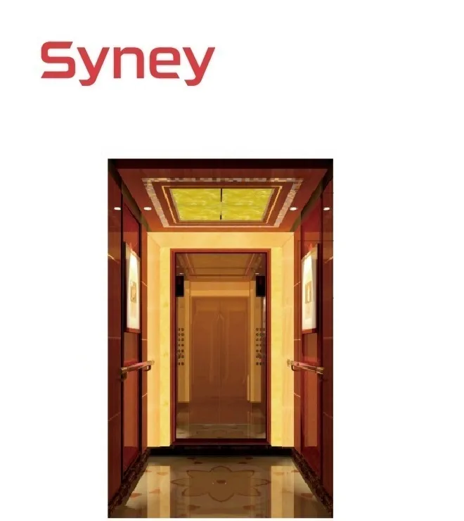 China Elevator Manufacturers 800kg Luxury Advanced Lift Passenger Lifts