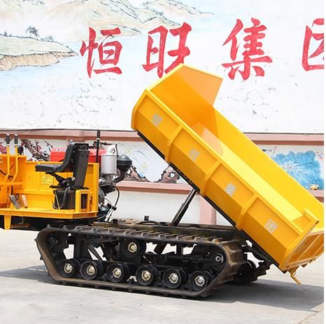 Factory Direct 25HP Power Hydraulic Crawler Mini Dumper with Good Price